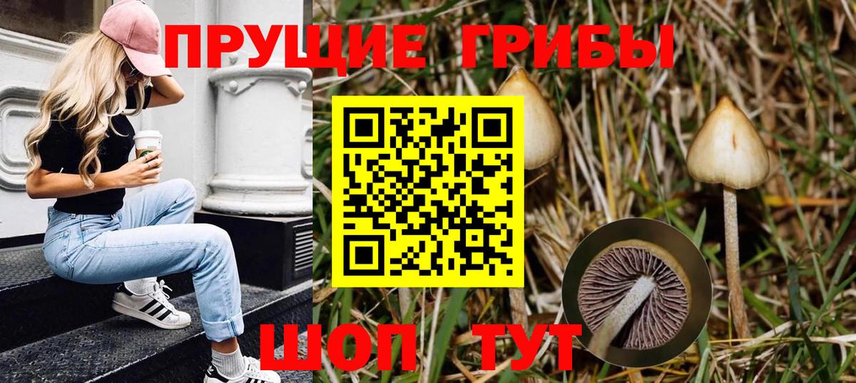 Горячий Ключ  Псилоцибиновые грибы прущие грибы  Псилоцибиновые грибы Magic Shrooms  где найти   Вход с VPN 