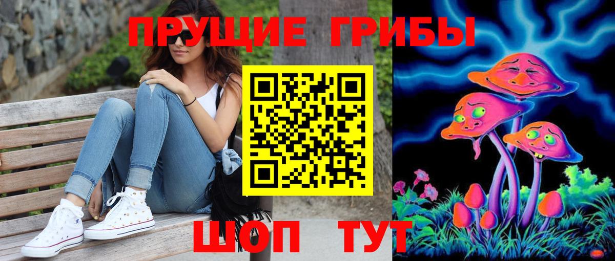 Галлюциногенные грибы мицелий Горячий Ключ